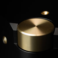 Laiv Audio HARMONY DAC - Convertisseur numérique-analogique R2R haut de gamme