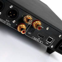 DENAFRIPS ARES 15TH - Premium R2R DAC