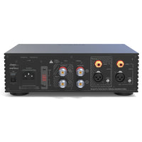 EverSolo AMP-F2 - Verstärker