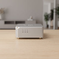 Laiv Audio CRESCENDO CHORUS - GaN Stereo / Dual Mono Power Amplifier