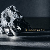 Letshuoer Cadenza 12 - Flagship Hybrid IEM