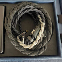 PW Audio First Times Shielding - Neuwertig