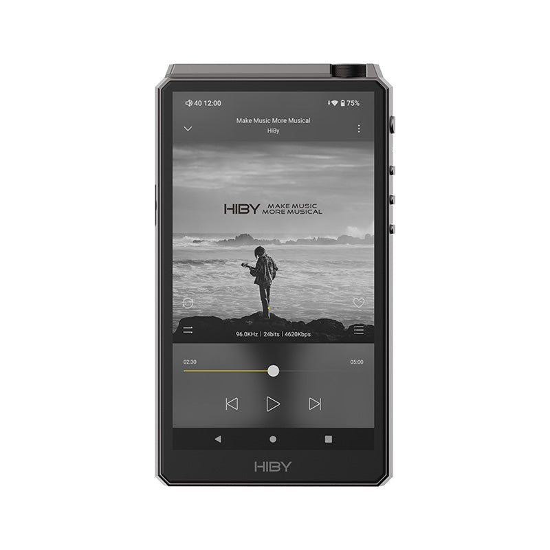 Hiby RS6 Gray Edition - High-End R2R DAP – Audio Essence