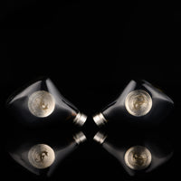 Noble Audio Kublai Khan - High-End IEM (Demo)