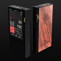 Luxury & Precision P6 Pro - Referenz R2R DAP