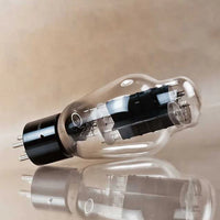 PSVANE WE Series WE300B Vacuum Tube (2 Stück)