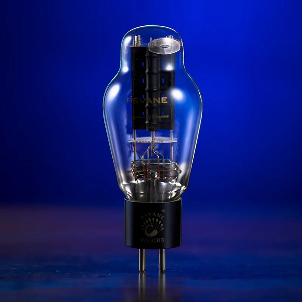 PSVANE WE Series WE300B Plus Vacuum Tube (2 Stück)