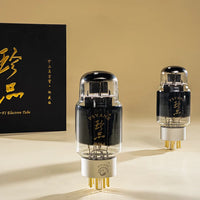 PSVANE TREASURE EL34-Z (2 Stück)