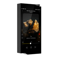 Hiby RS8 MKII - Flagship R2R DAP