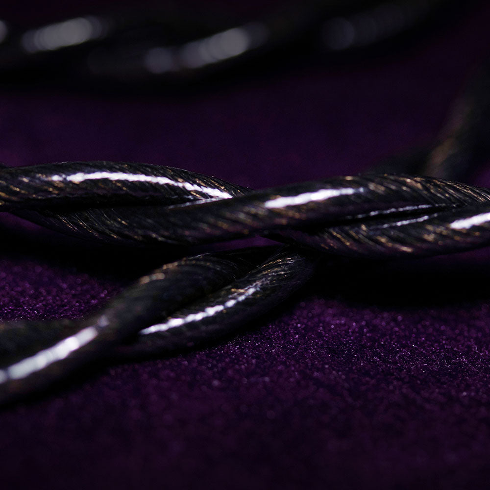 PMG Audio APX ME - Limited Flagship IEMs