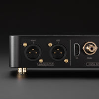 Laiv Audio HARMONY µDAC - Mini R2R DAC