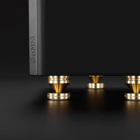 Laiv Audio Harmony GaNM - Class D Verstärker (Paar)