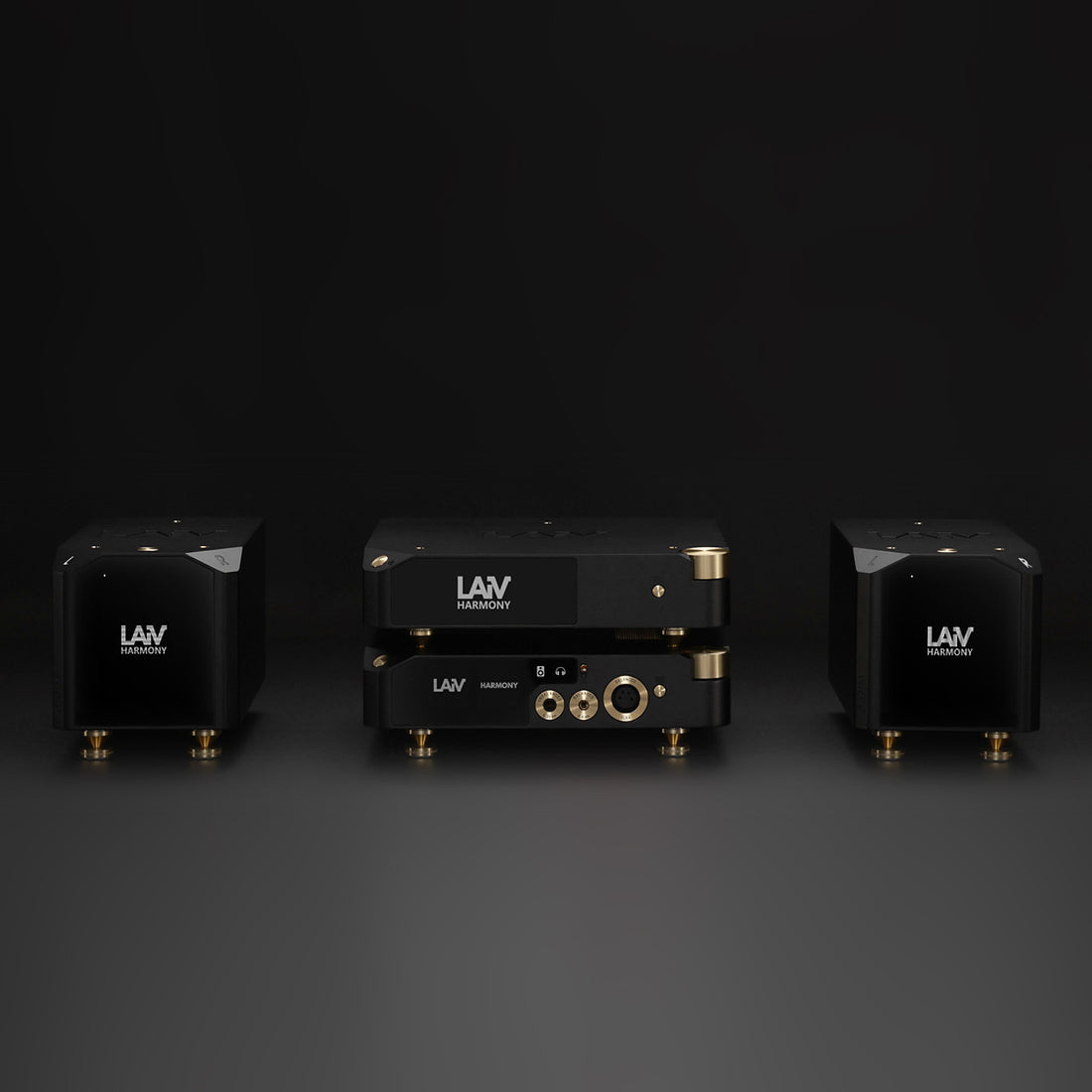 Laiv Audio Harmony GaNM - Class D Verstärker (Paar)