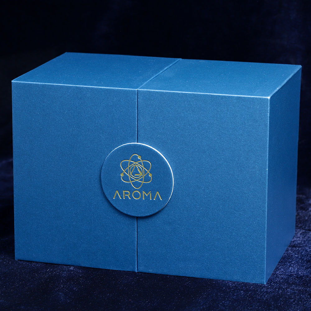 AROMA Audio « CORE » - Système d&