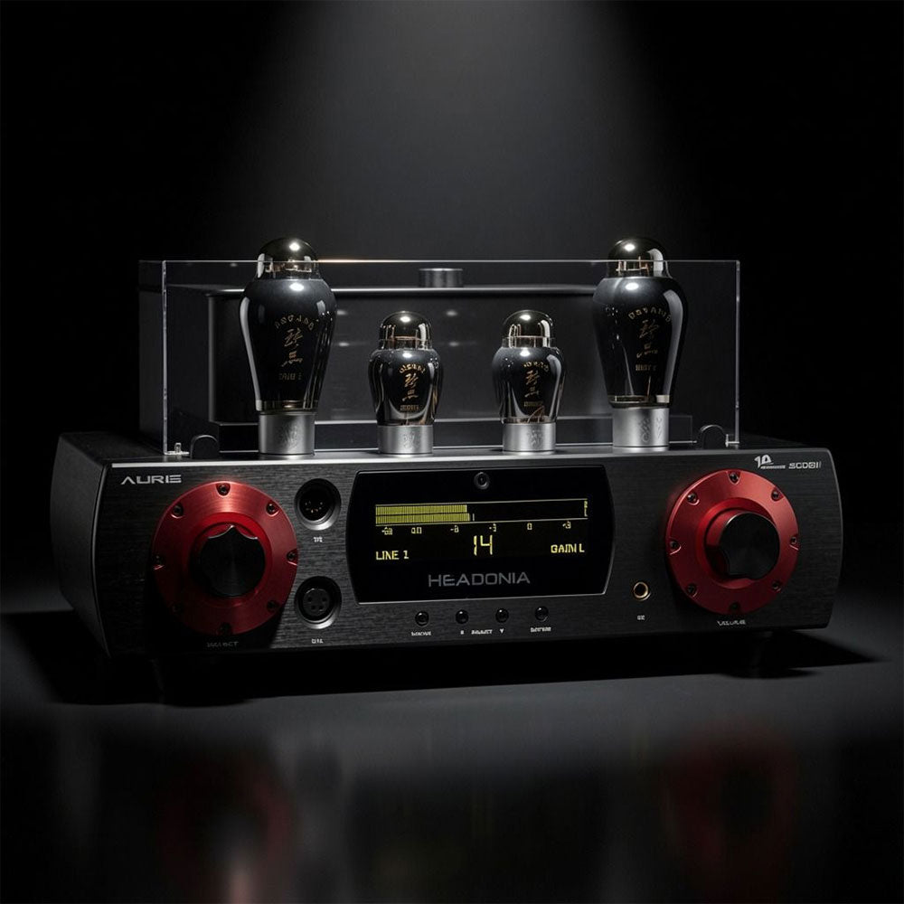 Auris Audio Headonia 300B MKII - Amplificateur casque à tubes haut de gamme
