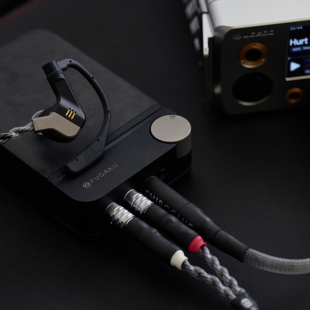 Brise Audio FUGAKU - Ultimatives Tragbares Audio-System