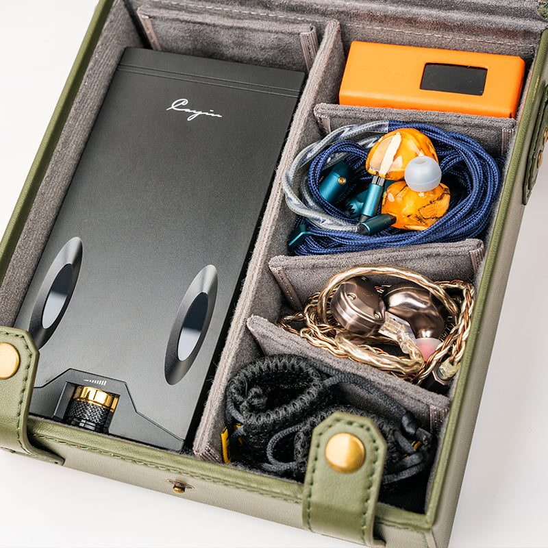 Cayin Multifunctional Carrying Case