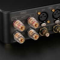 Laiv Audio CRESCENDO CHORUS - GaN Stereo / Dual Mono Power Amplifier