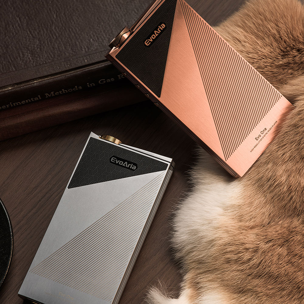 Evo Aria Evo One - Reference Digital Audio Player