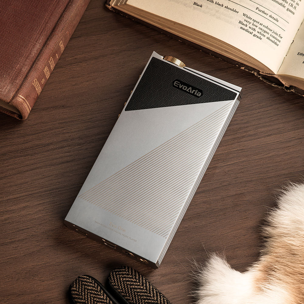 Evo Aria Evo One - Reference Digital Audio Player