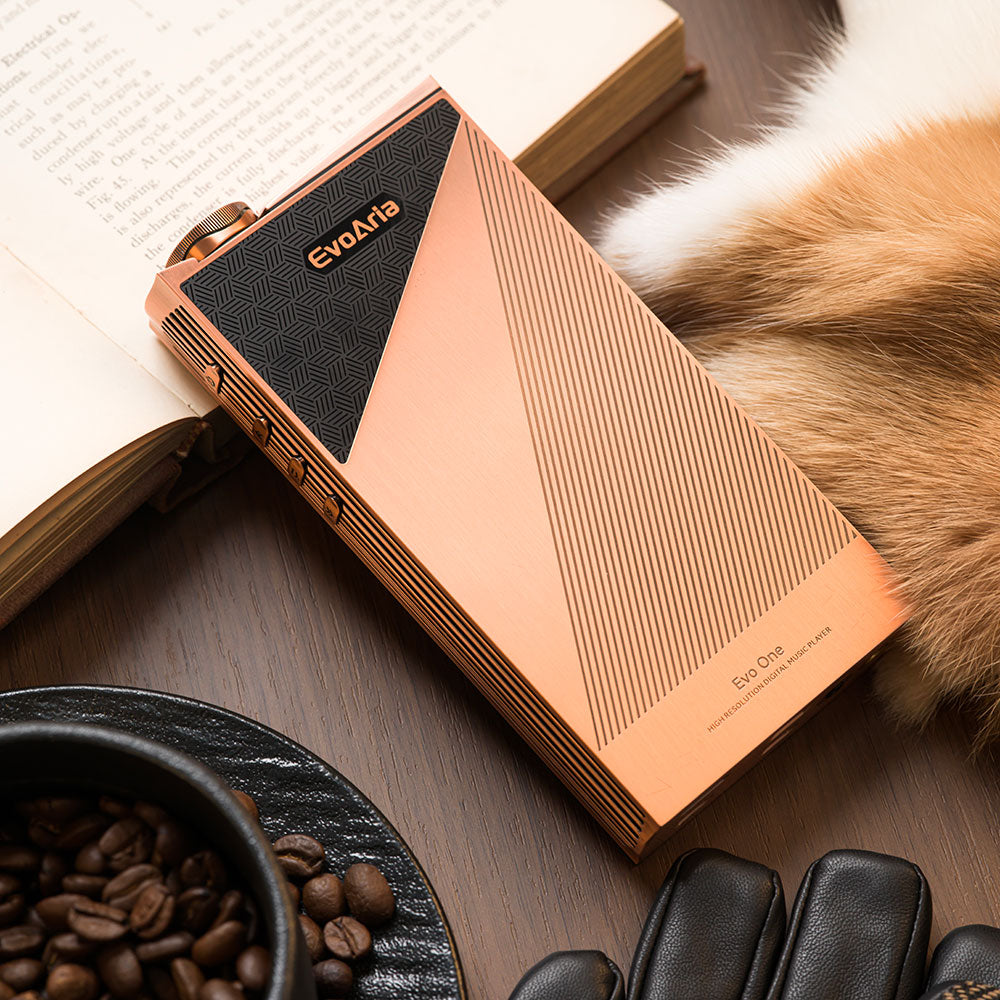 Evo Aria Evo One - Reference Digital Audio Player