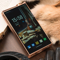 Evo Aria Evo One - Reference Digital Audio Player