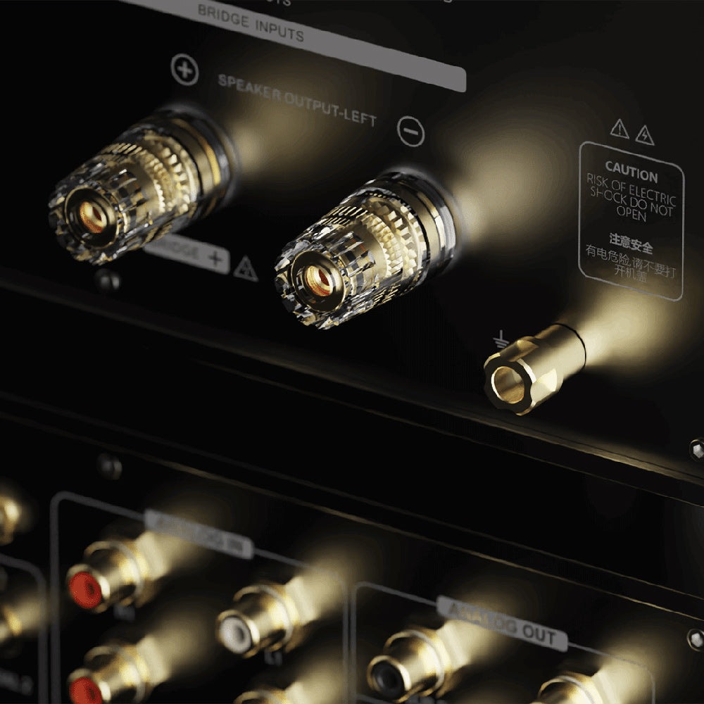 Eversolo AMP-F10 - High-End Verstärker