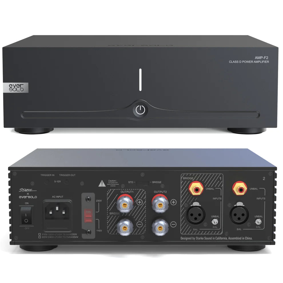 EverSolo AMP-F2 - Verstärker