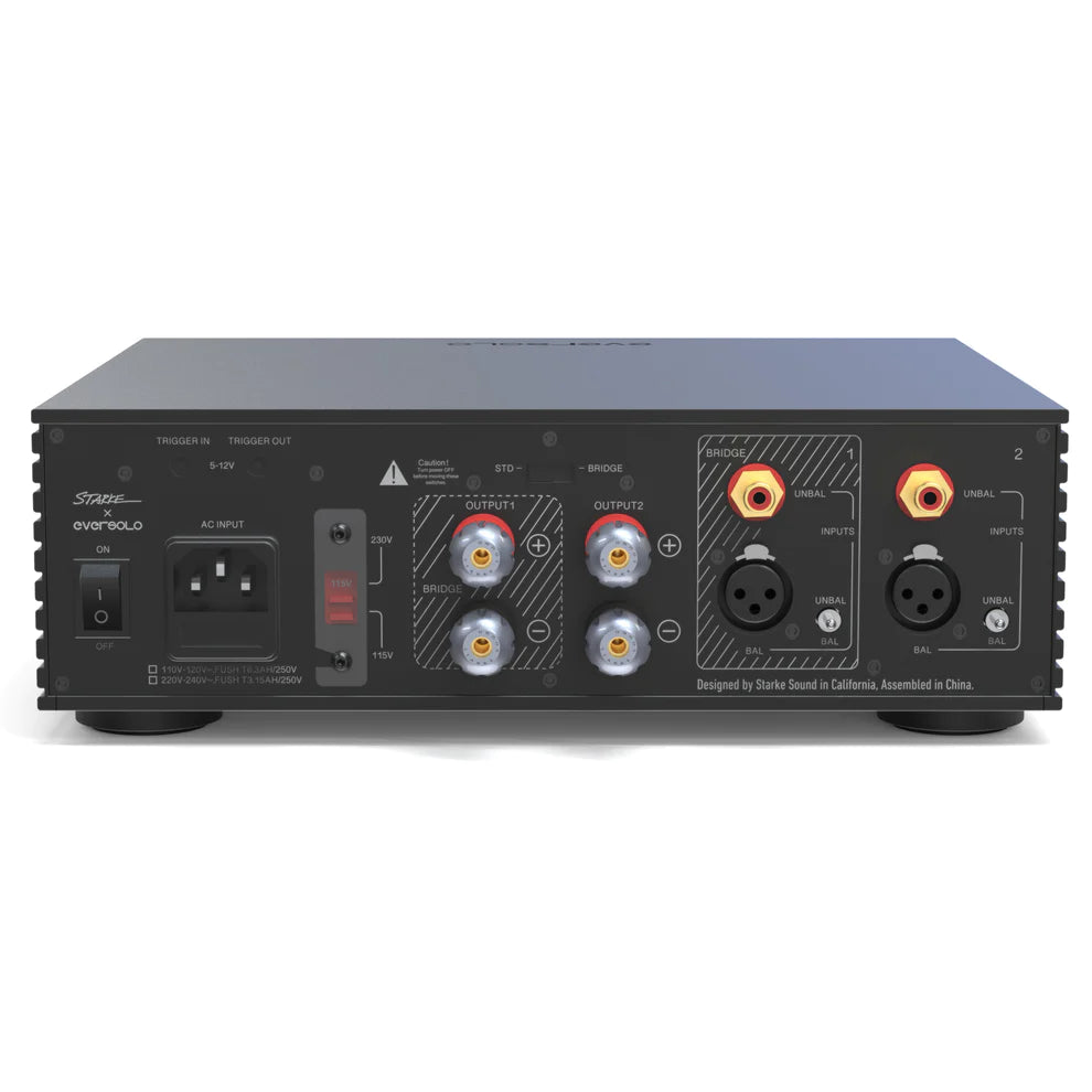EverSolo AMP-F2 - Verstärker