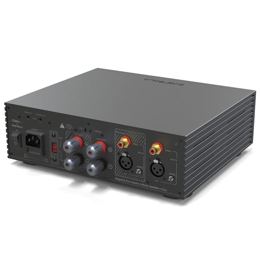 EverSolo AMP-F2 - Verstärker