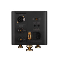 Laiv Audio Harmony GaNM - Class D Verstärker (Paar)