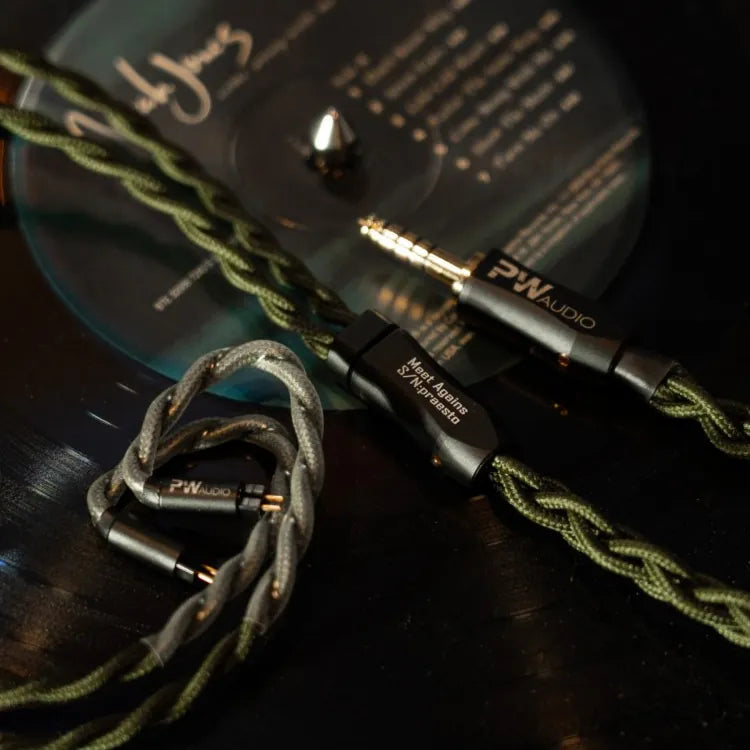 PW Audio Meet Agains Shielding - Supreme Level OCC Kupferkabel (geschirmt)