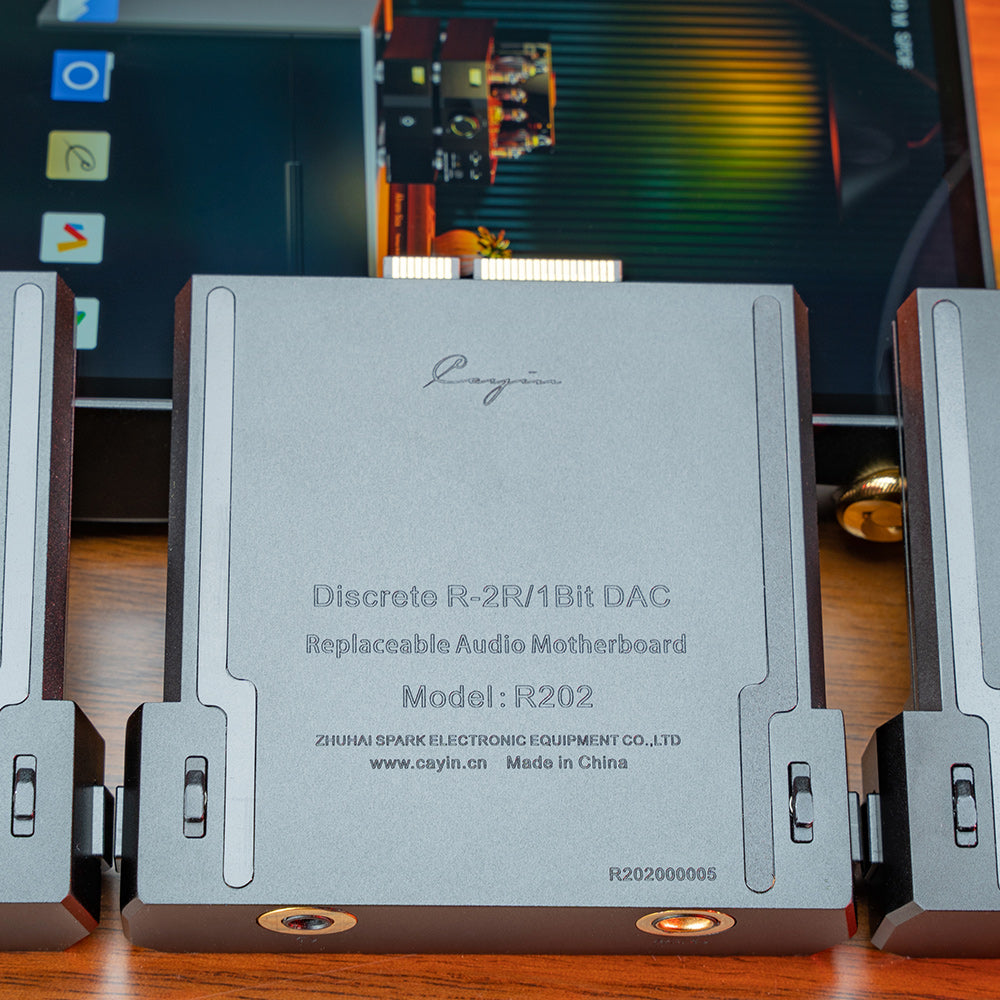 Cayin R202 - Dual R2R/1-Bit DAC Audio Motherboard für Cayin N6III DAP