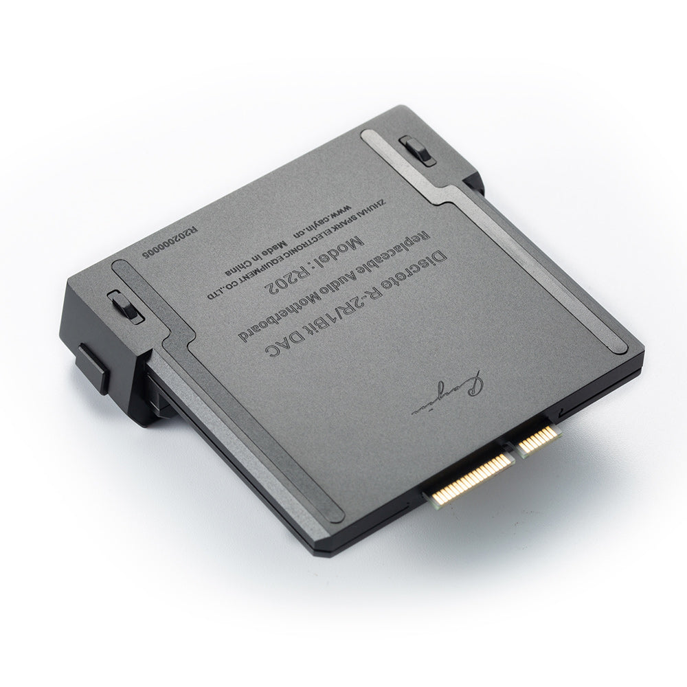 Cayin N6III マザーボードR202 Cayin R202 - Dual R2R/1-Bit DAC Audio Motherboard für Cayin N6III