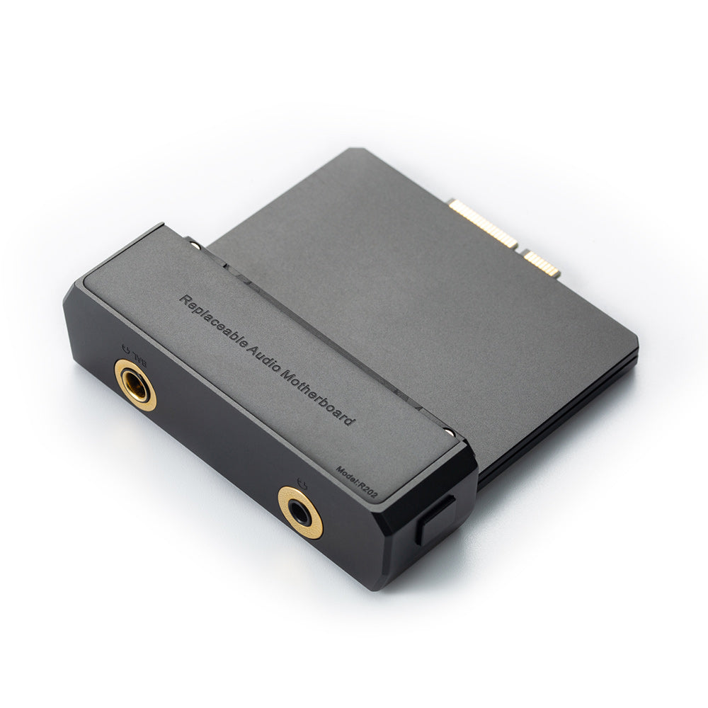 Cayin R202 - Dual R2R/1-Bit DAC Audio Motherboard für Cayin N6III DAP