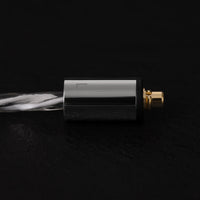 Final A10000 - Single DD Flagship IEMs