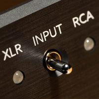 VIOLECTRIC HPA V222 - Amplificateur casque symétrique