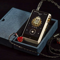 Audio Essence DAP / IEM Carry Case by Miter