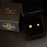 Cayin dust protection plugs for 3.5mm and 4.4mm connections