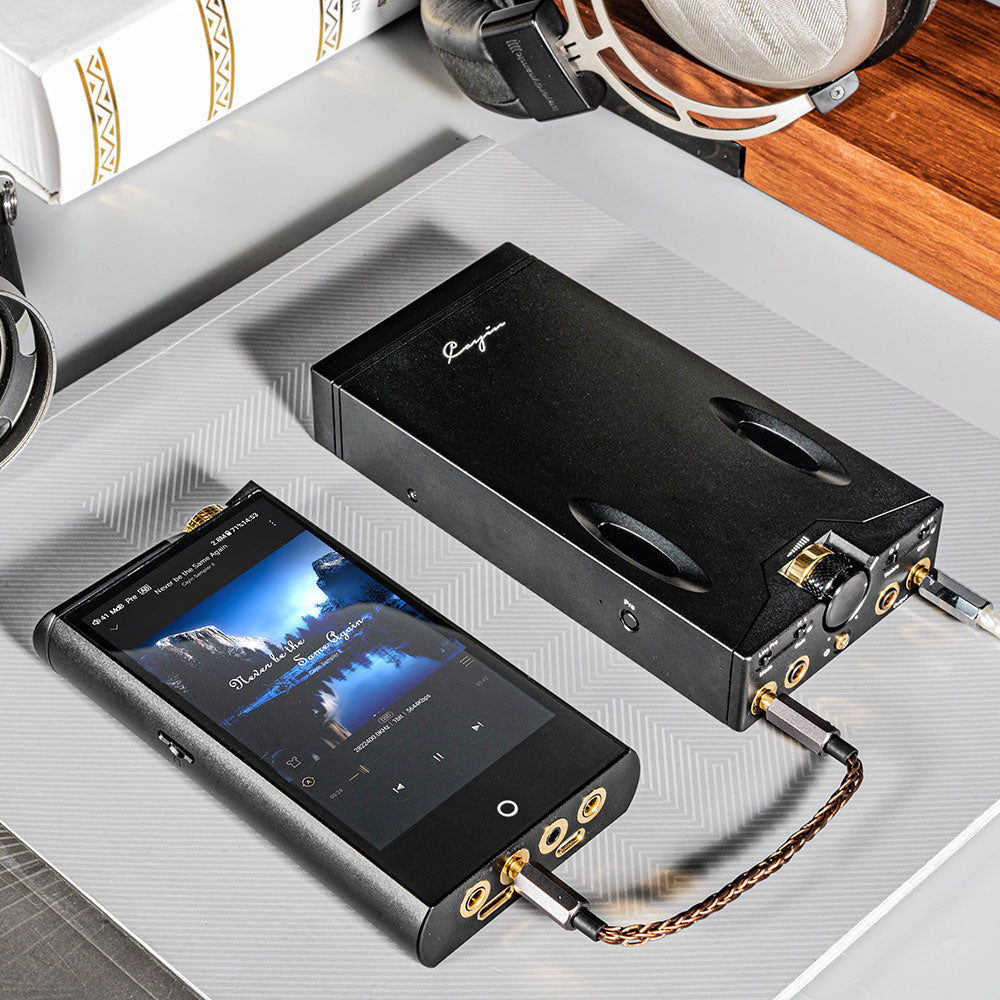 Amazon.co.jp: 【国内正規品】Cayin N7 : 家電＆カメラ Cayin N7