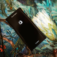 EarMen Colibri - DAC/ampli casque/préampli mobile équilibré