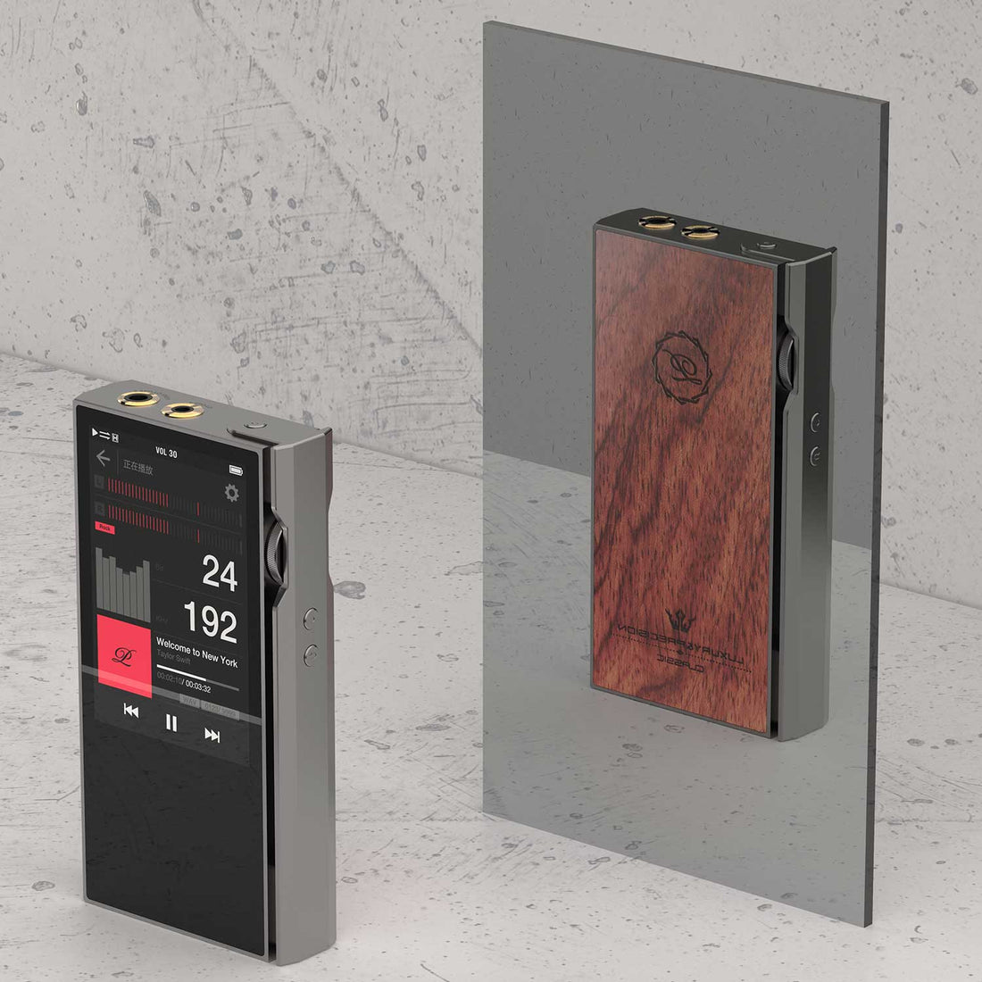 Luxury & Precision P6 Pro - Referenz R2R DAP