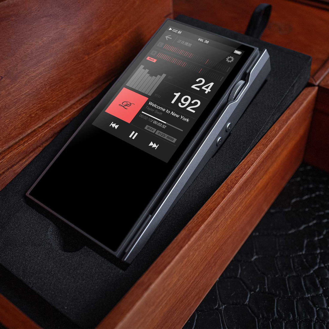 Luxury & Precision P6 Pro - Referenz R2R DAP