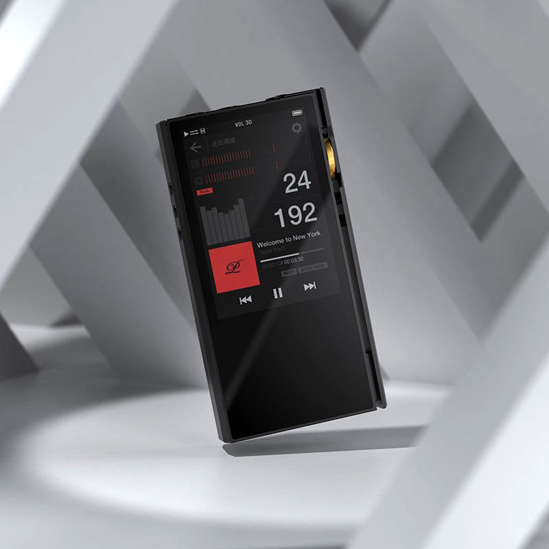 Luxury & Precision P6 Pro - Referenz R2R DAP