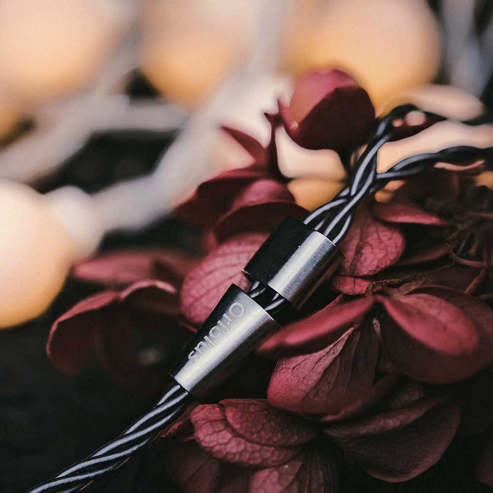 Oriolus Isabellae - Single DD IEM