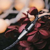 Oriolus Isabellae - Single DD IEM