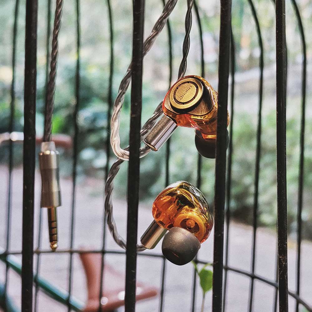 Oriolus Isabellae - Single DD IEM