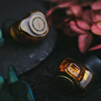 Oriolus Isabellae - Single DD IEM