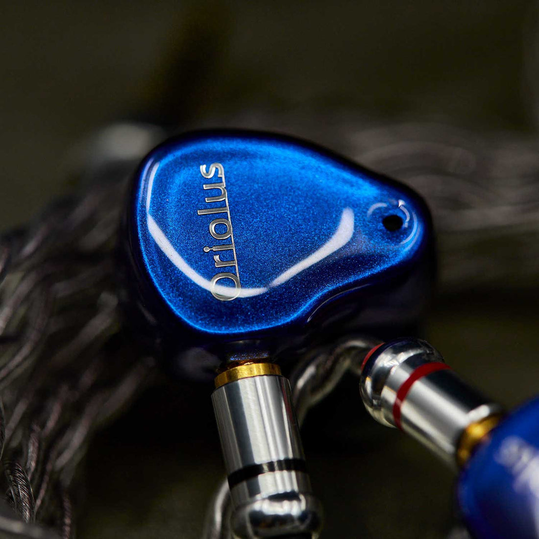 Oriolus Reborn LTD